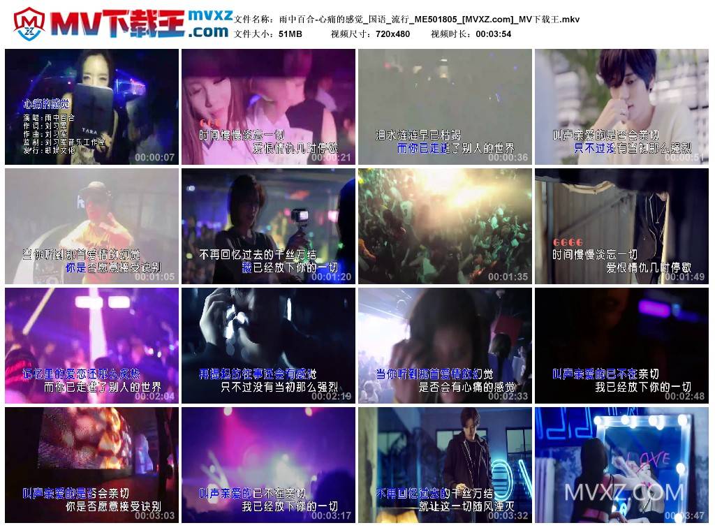 雨中百合-心痛的感觉_国语_流行_ME501805